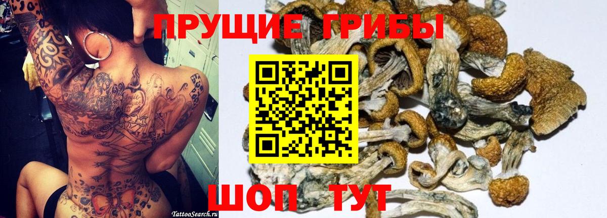 Галлюциногенные грибы ЛСД  Псилоцибиновые грибы GOLDEN TEACHER  Вход с VPN  Бердск 