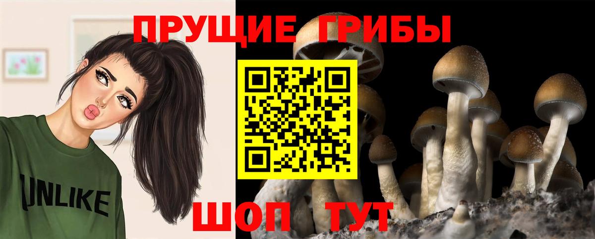Псилоцибиновые грибы мухоморы Бердск
